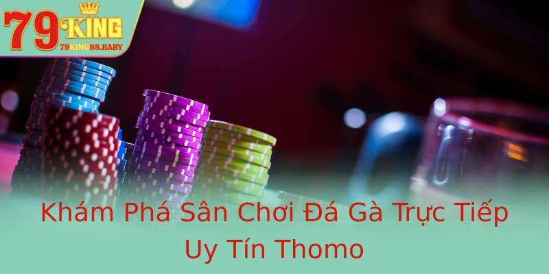 Khám Phá Sân Chơi Đá Gà Trực Tiếp Uy Tín Thomo Khám Phá Sân Chơi Đá Gà Trực Tiếp Uy Tín Thomo