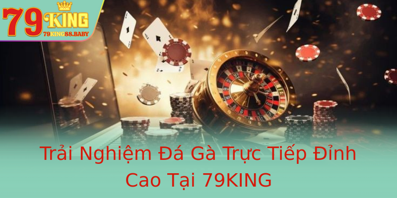 Trải Nghiệm Đá Gà Trực Tiếp Đỉnh Cao Tại 79KING